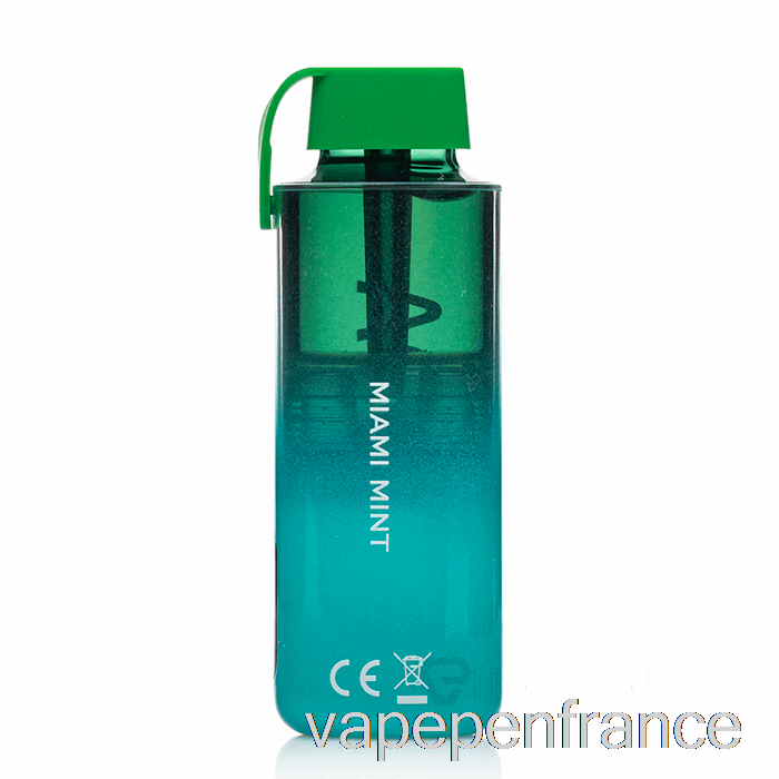 Vozol Neon 10000 Stylo Vape Jetable à La Menthe Miami